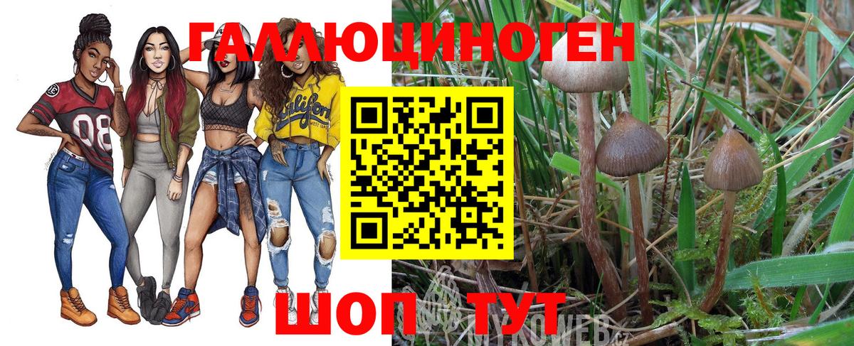 Псилоцибиновые грибы мицелий Зерноград