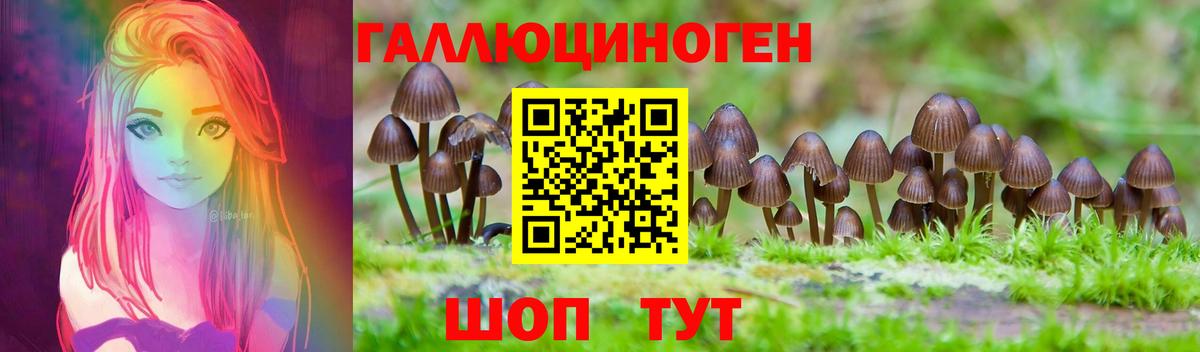 Галлюциногенные грибы Psilocybine cubensis  Вход с VPN  где купить наркоту  Зерноград 